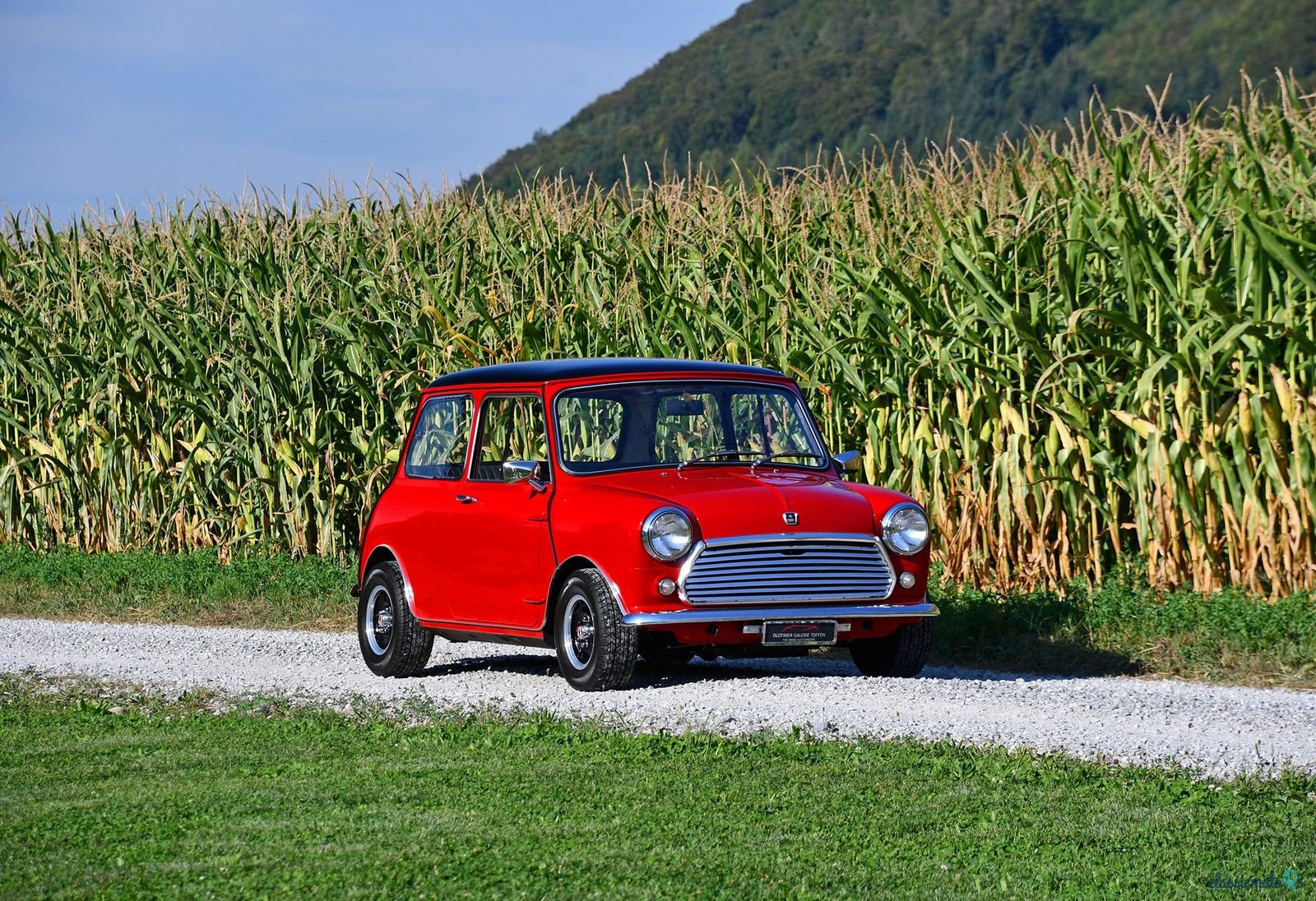 1969' Morris Mini photo #2