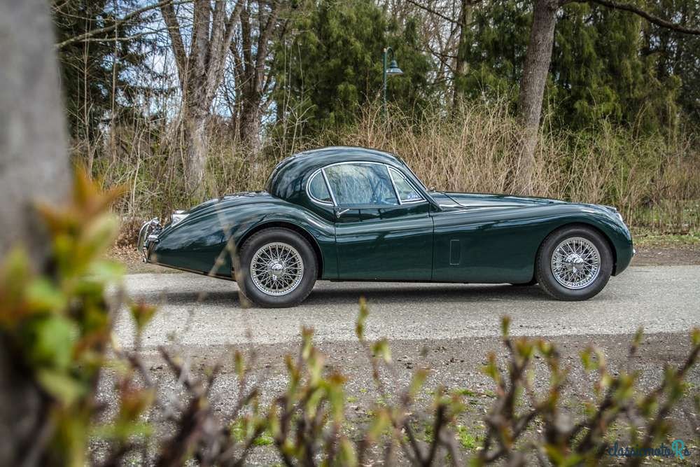1954' Jaguar XK photo #3