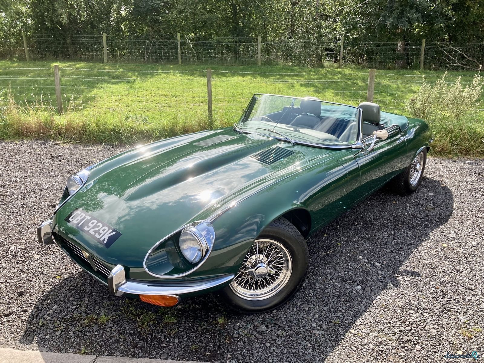 1972' Jaguar E-Type photo #1