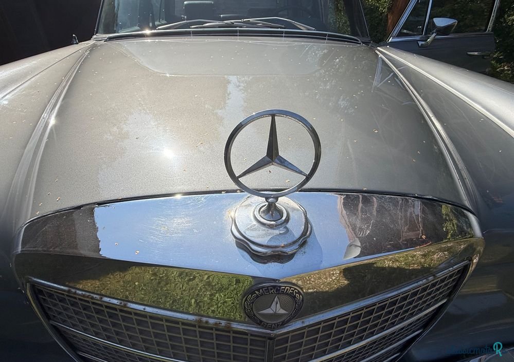 1969' Mercedes-Benz Klasa S photo #3
