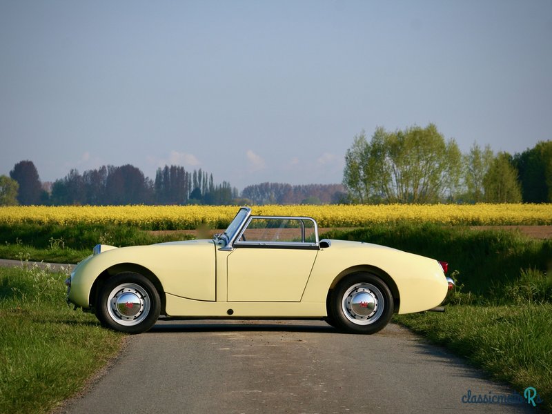 1960' Austin-Healey Frogeye photo #4