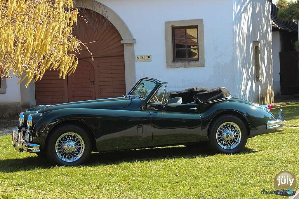1956' Jaguar XK photo #2