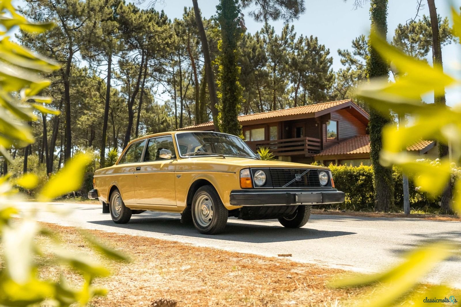 1979' Volvo 242 Dl photo #1