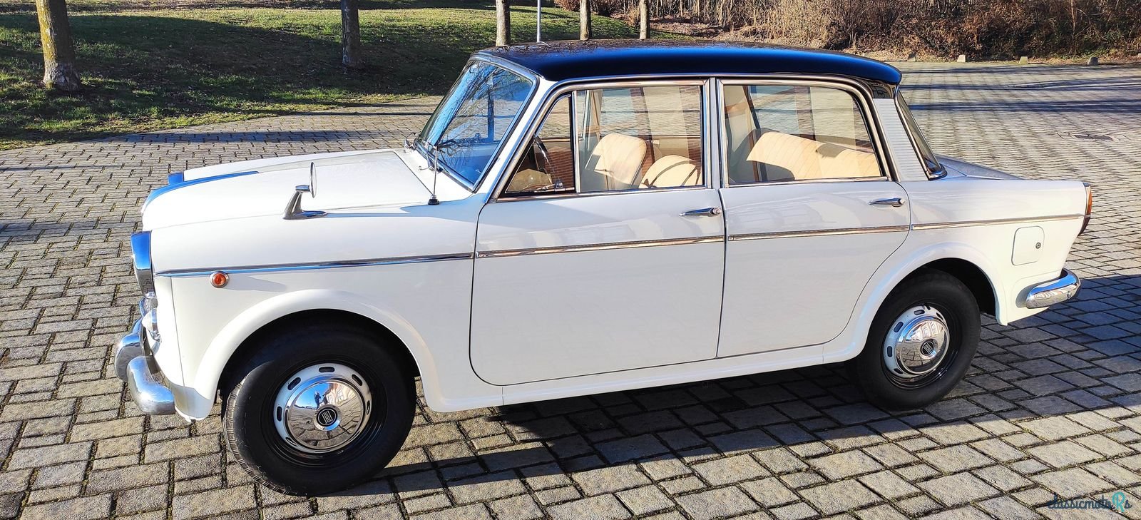 1962' Fiat 1100 photo #2