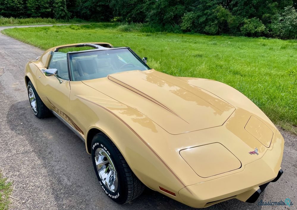 1977' Chevrolet Corvette photo #1