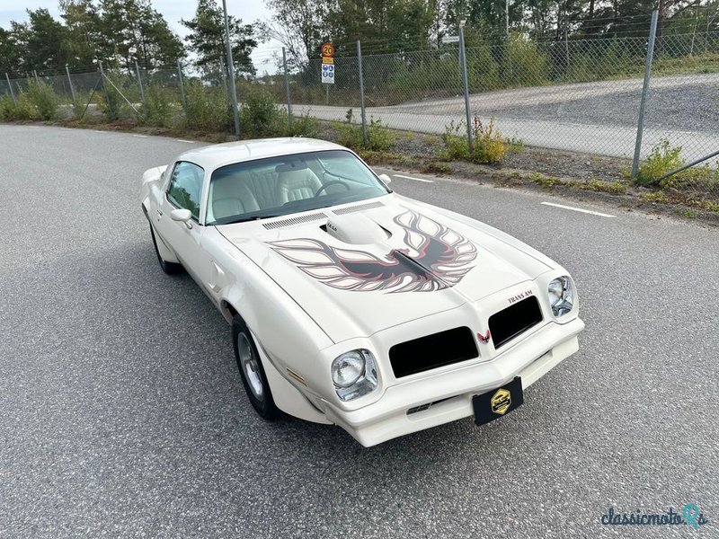 1976' Pontiac Firebird photo #3