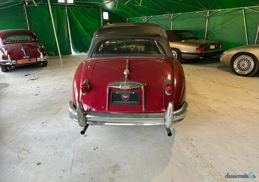 1958' Jaguar XK photo #6
