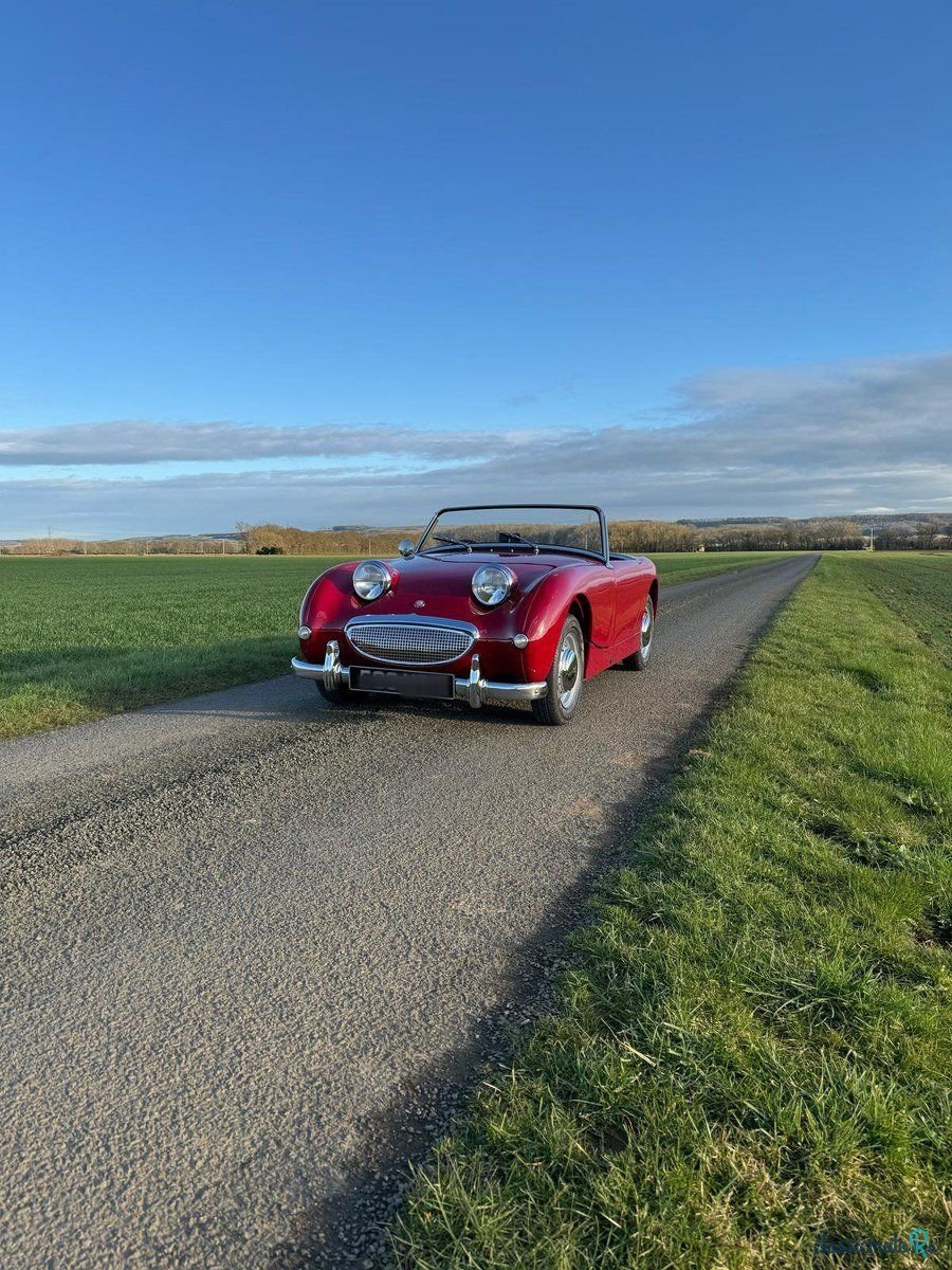 1960' Austin-Healey Sprite photo #1