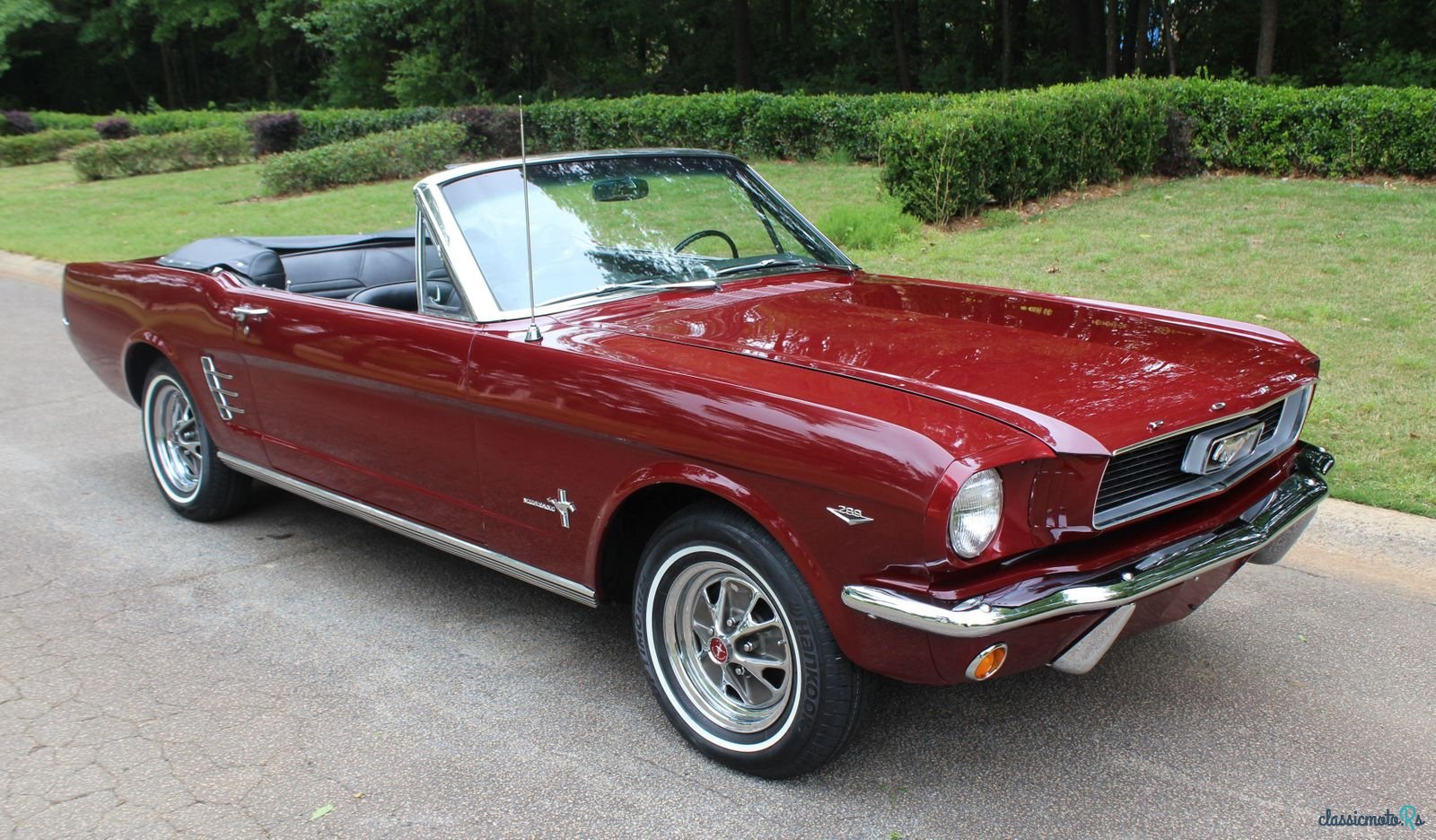 1966' Ford Mustang photo #1