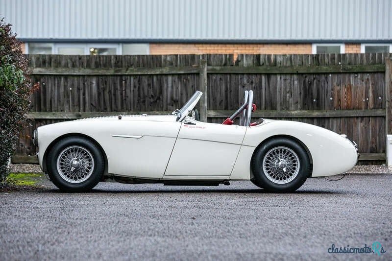 1955' Austin-Healey Bn2L photo #4