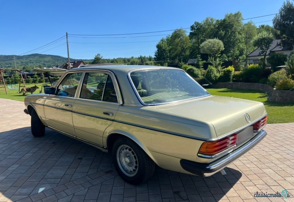 1979' Mercedes-Benz W123 photo #6