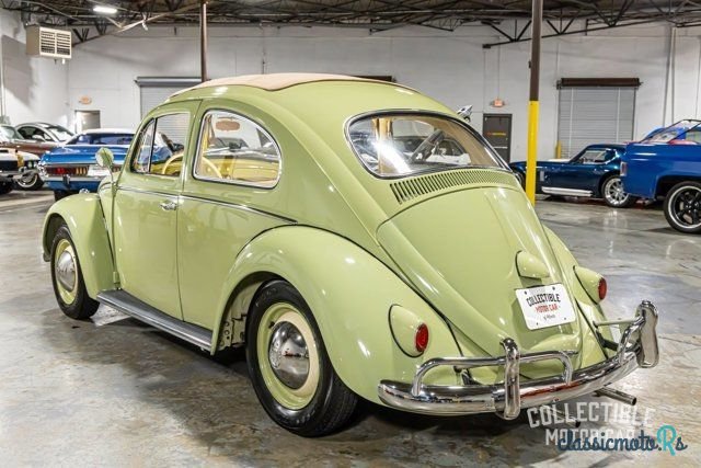 1959' Volkswagen Beetle photo #4