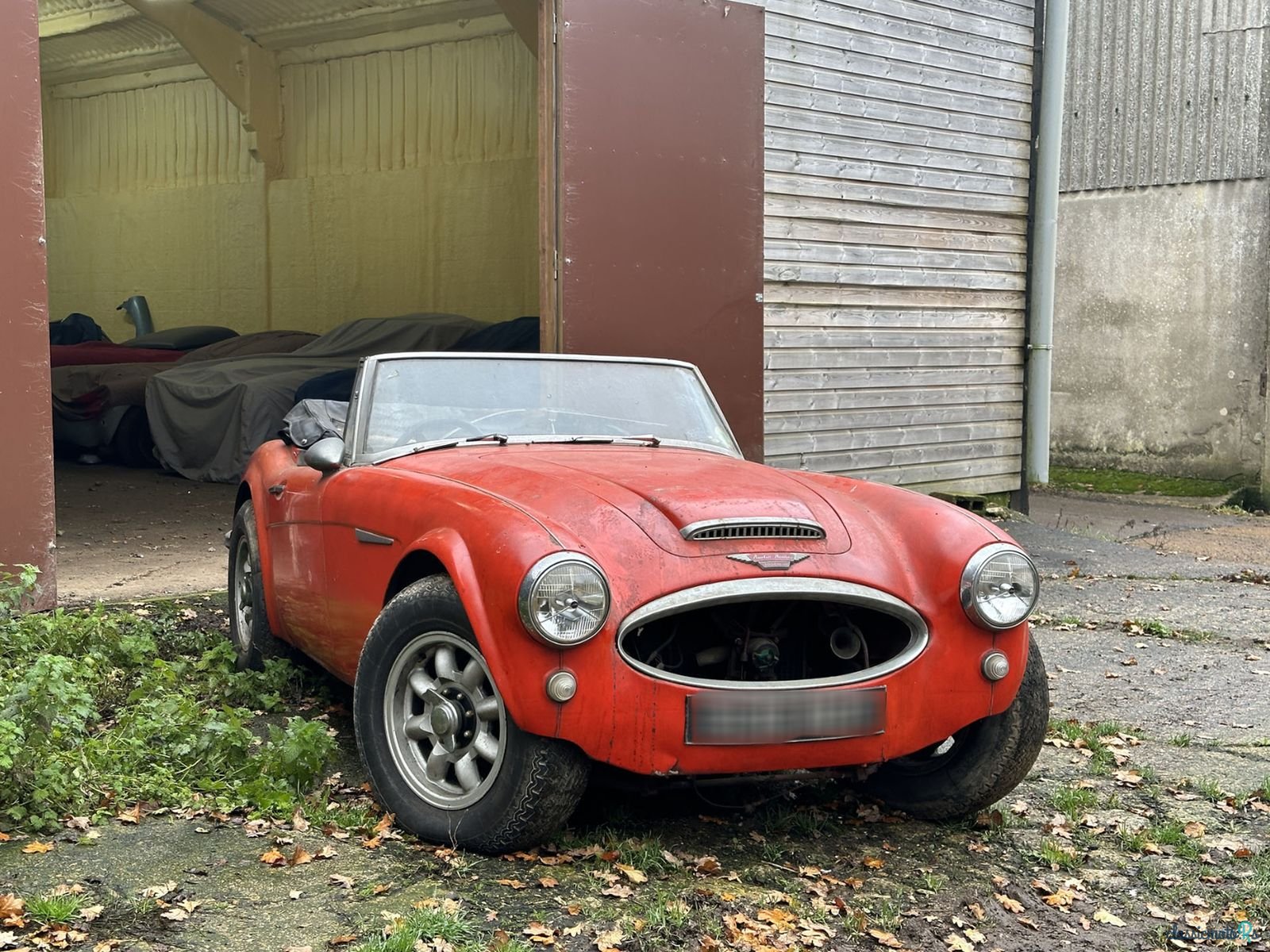 1964' Austin-Healey 3000 photo #1