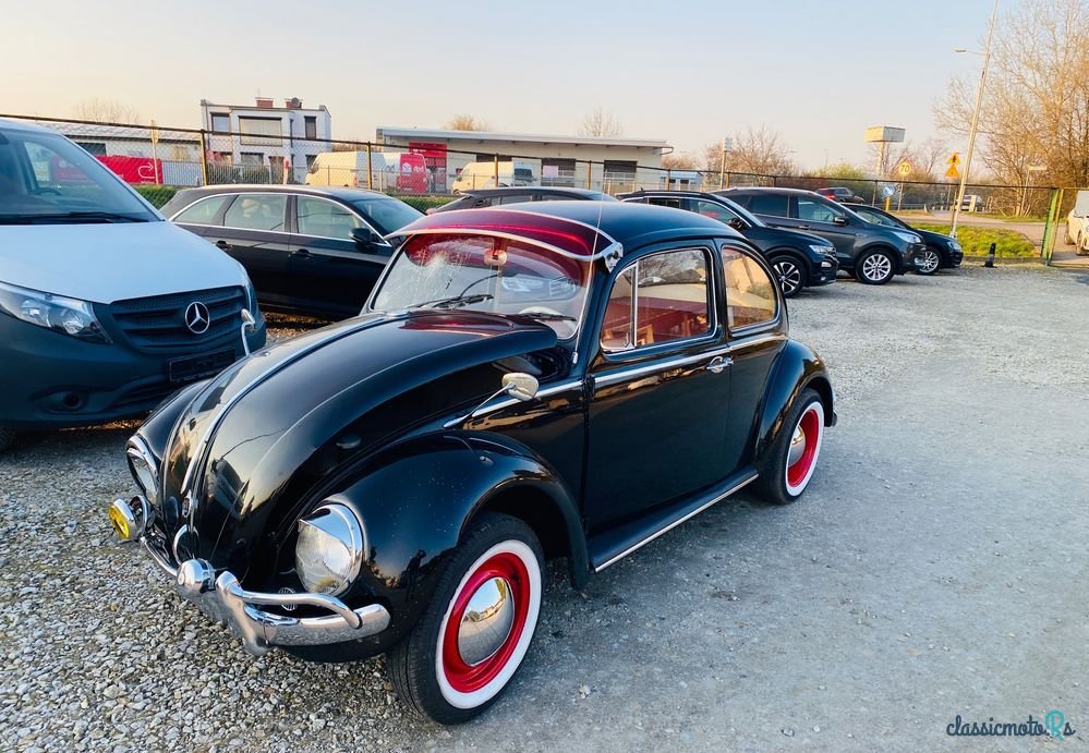 1966' Volkswagen Garbus photo #2