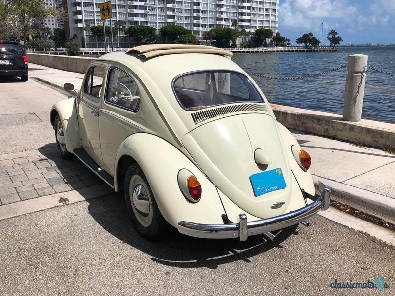 1961' Volkswagen Beetle photo #1