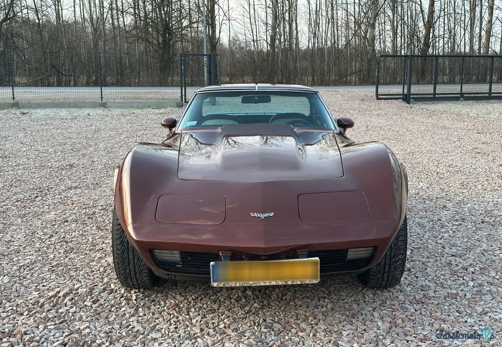 1977' Chevrolet Corvette photo #2