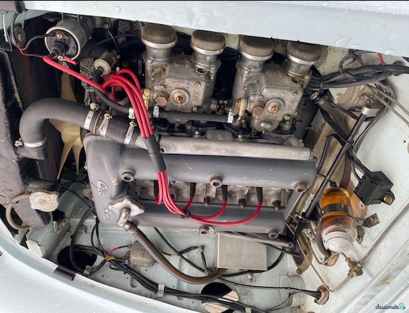 1958' Alfa Romeo Giulietta Spider photo #6