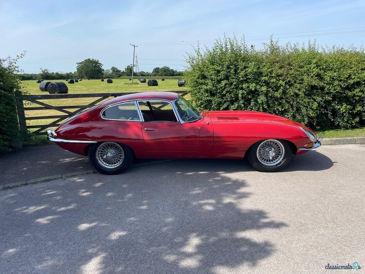 1963' Jaguar E-Type photo #1