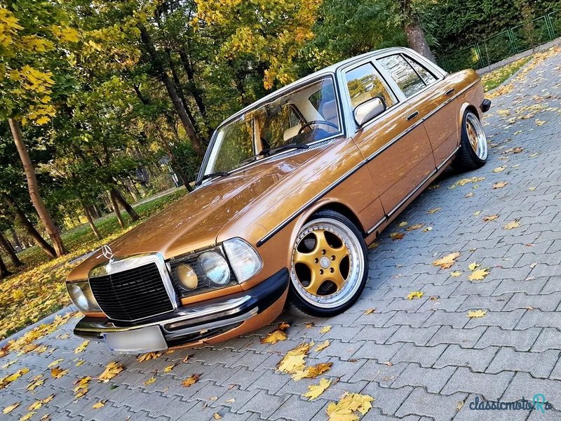 1979' Mercedes-Benz W123 photo #5