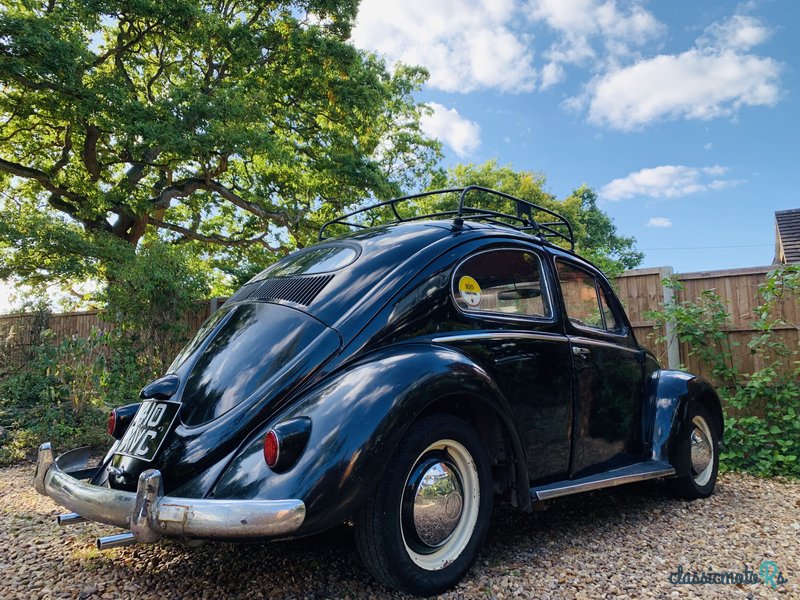 1956' Volkswagen Beetle photo #3