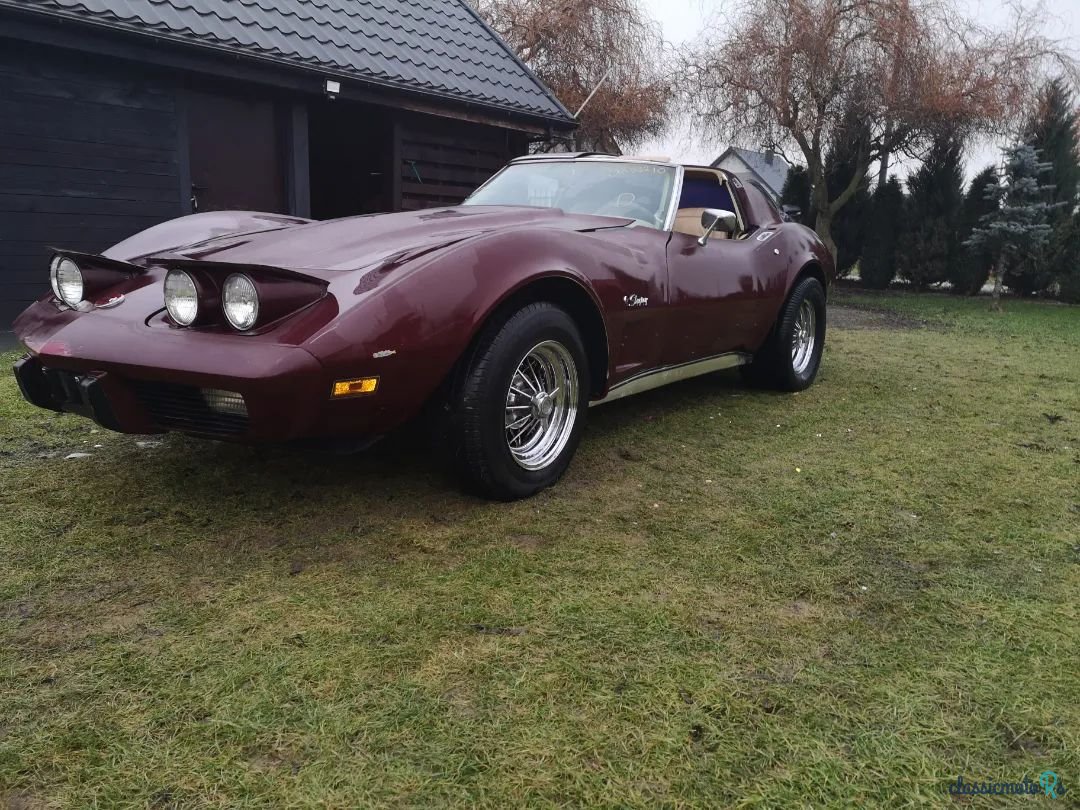 1976' Chevrolet Corvette photo #1