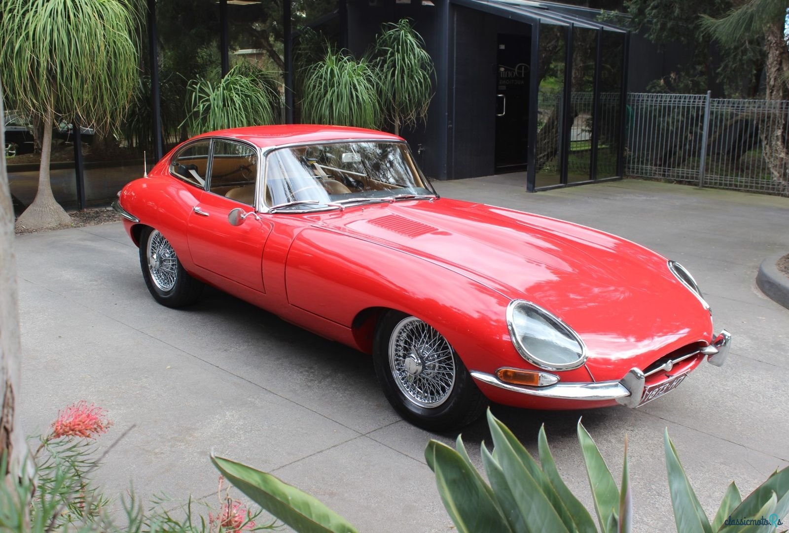 1962' Jaguar E-Type photo #1