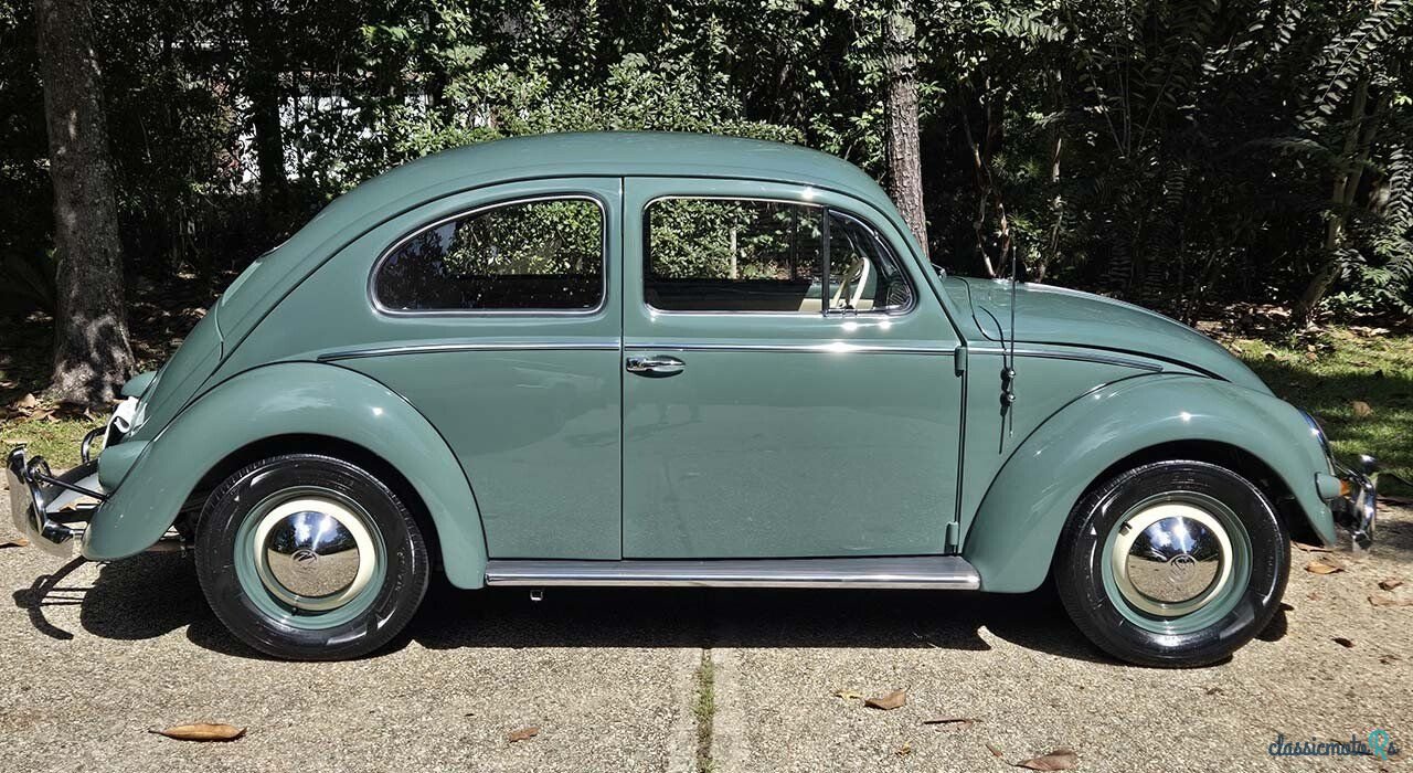 1956' Volkswagen Beetle photo #6