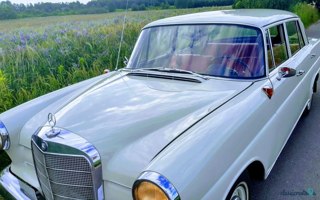 1962' Mercedes-Benz photo #1