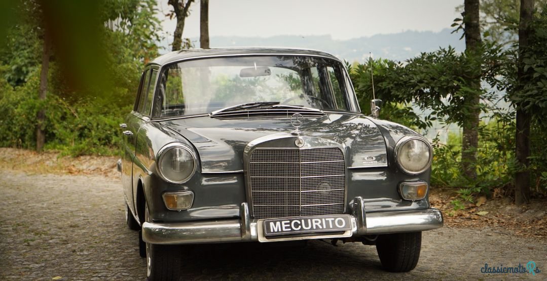 1967' Mercedes-Benz 200 photo #2
