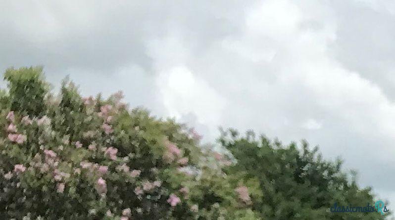 1937' Chevrolet Custom photo #4