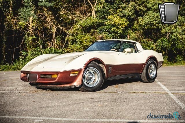 1981' Chevrolet Corvette photo #2