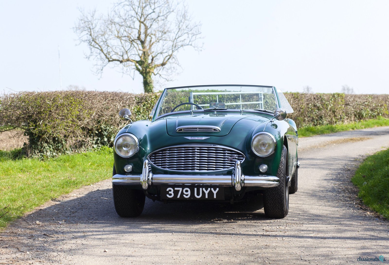 1958' Austin-Healey 100/6 photo #4