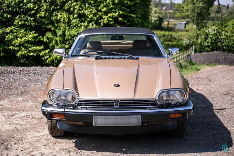 1985' Jaguar XJS photo #5