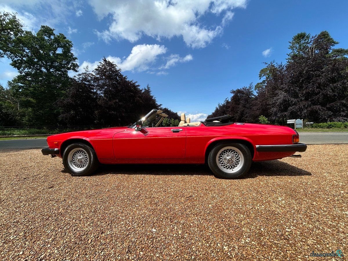 1989' Jaguar XJS photo #4