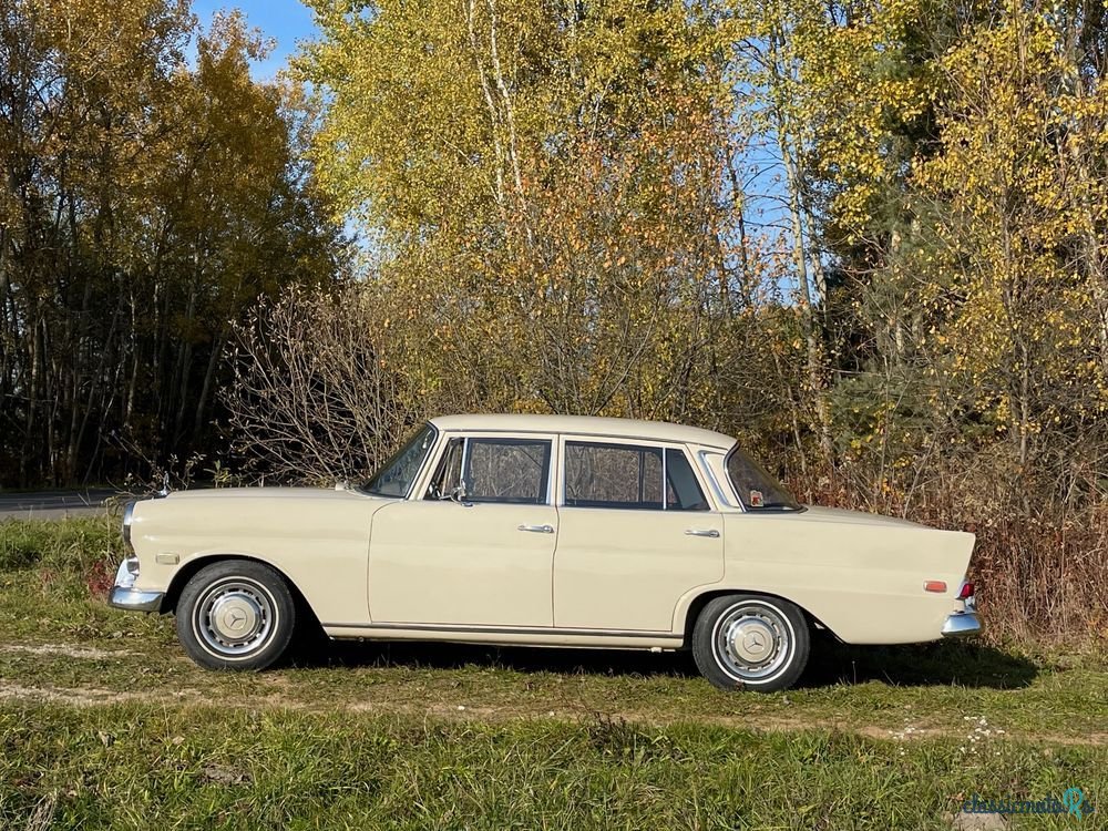 1966' Mercedes-Benz W110 230 photo #3