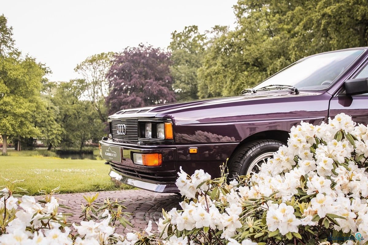 1982' Audi Quattro photo #3