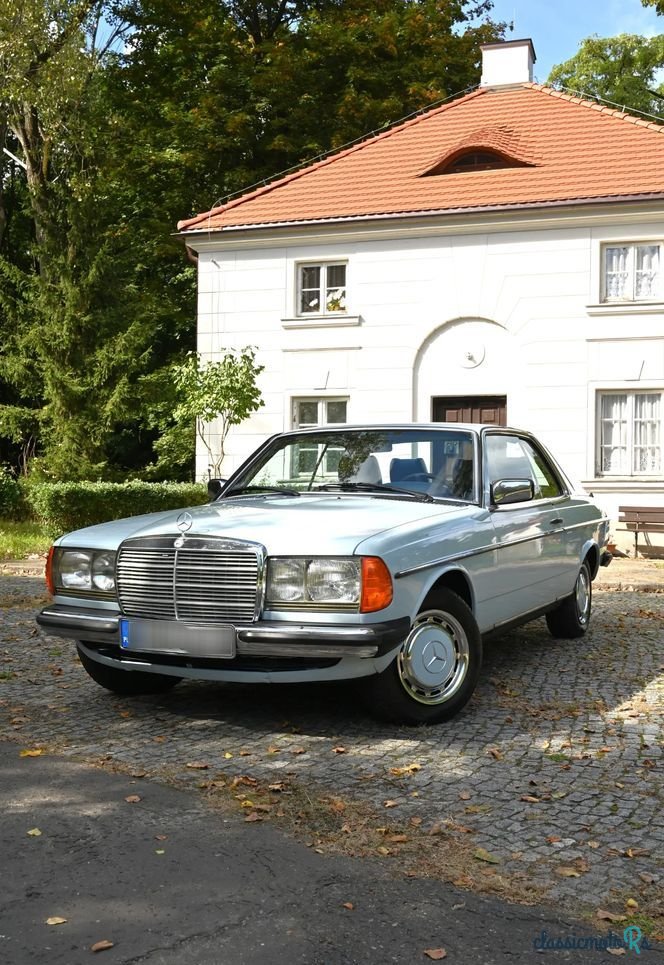 1979' Mercedes-Benz W123 photo #2