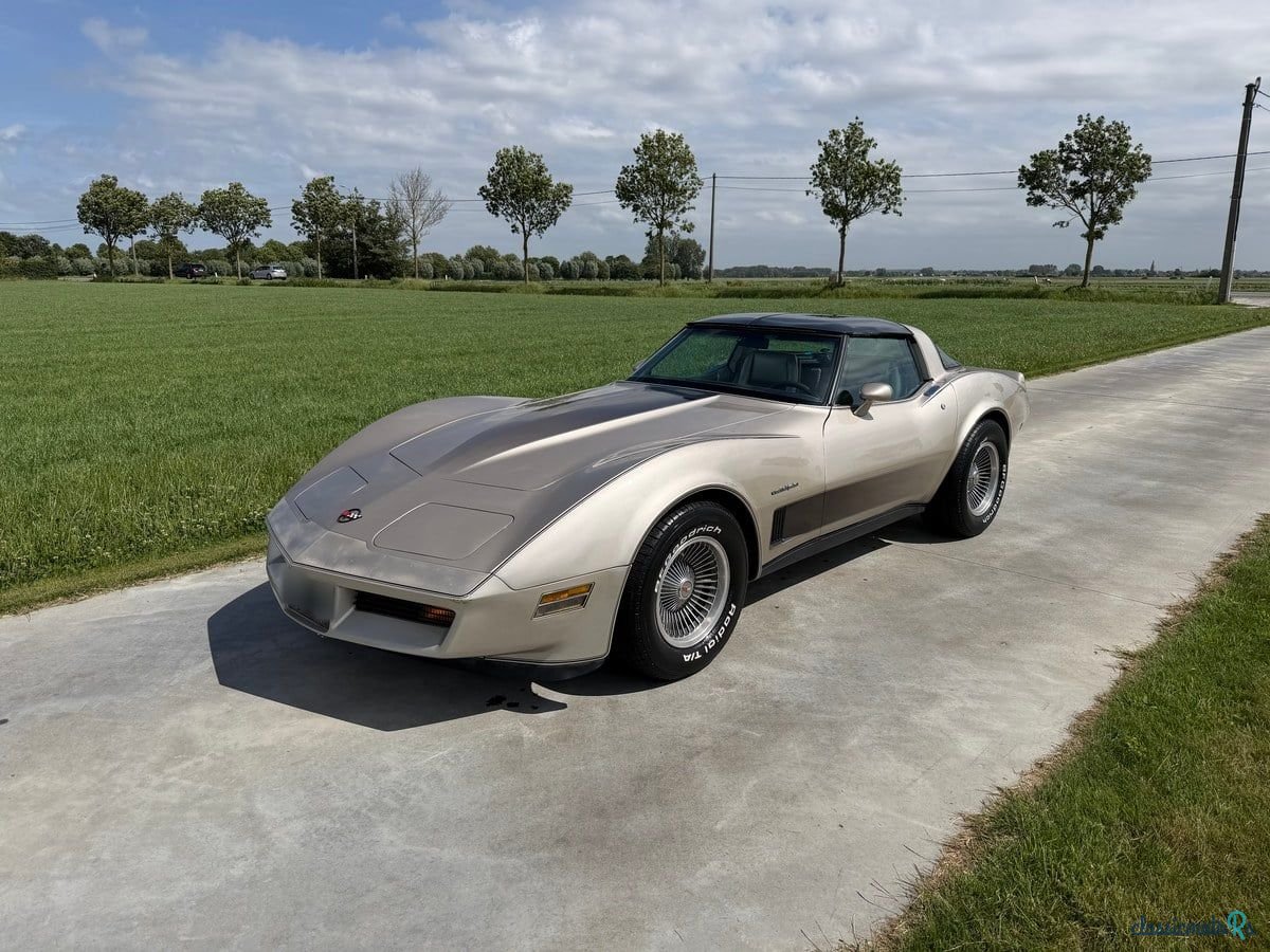 1982' Chevrolet Corvette photo #1