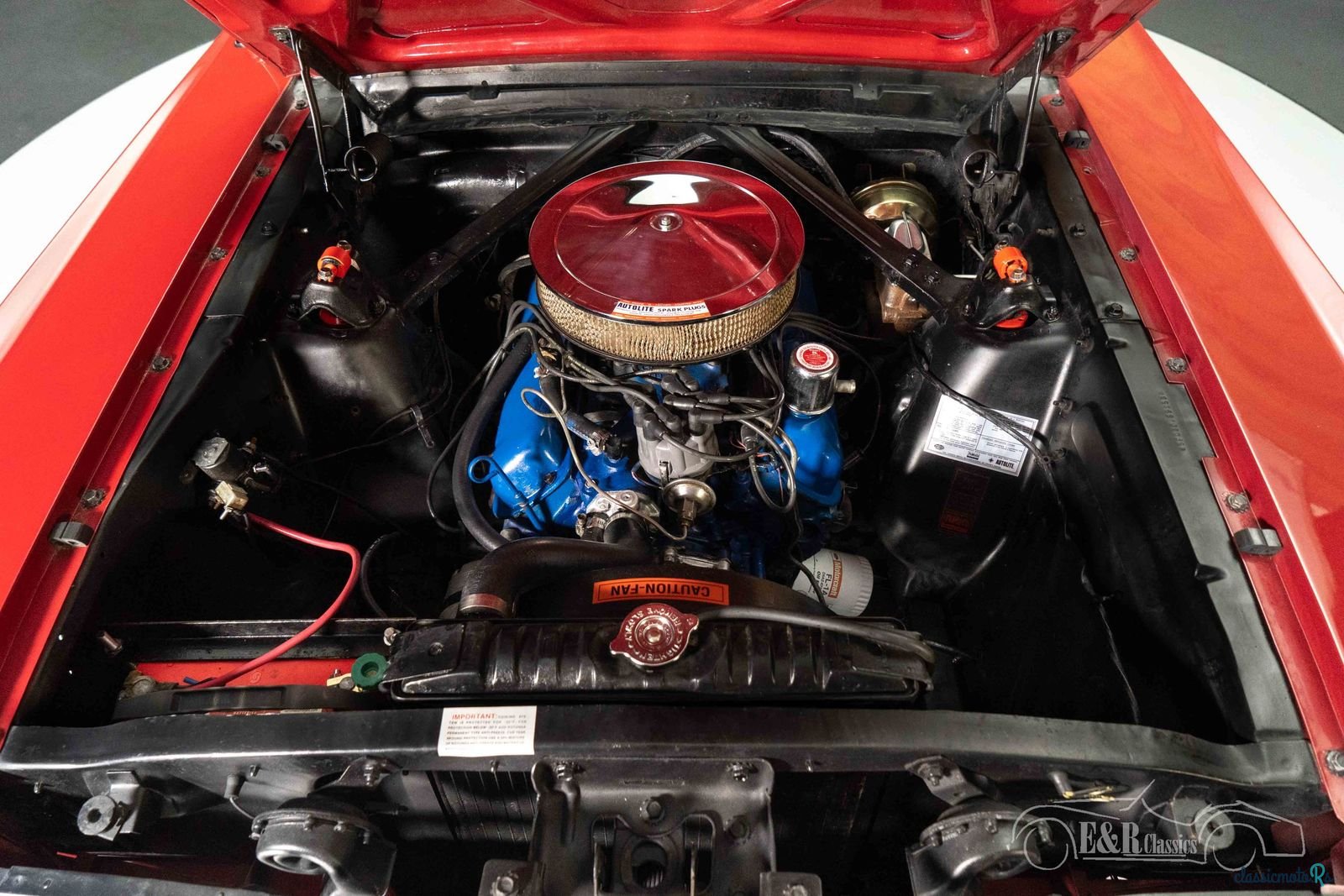 1965' Ford Mustang photo #3