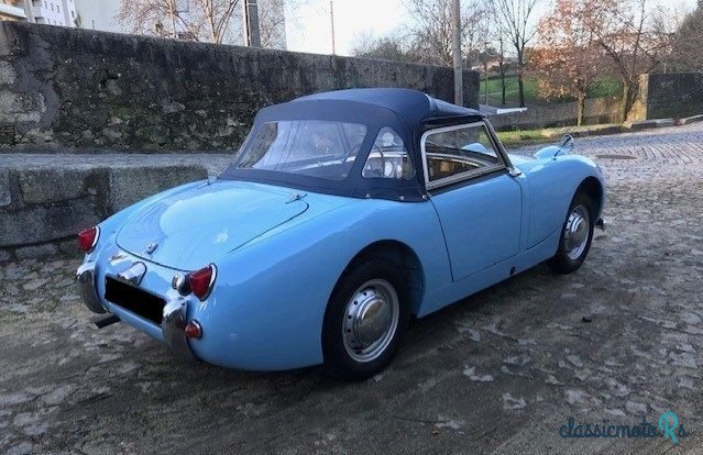 1959' Austin-Healey Sprite photo #4