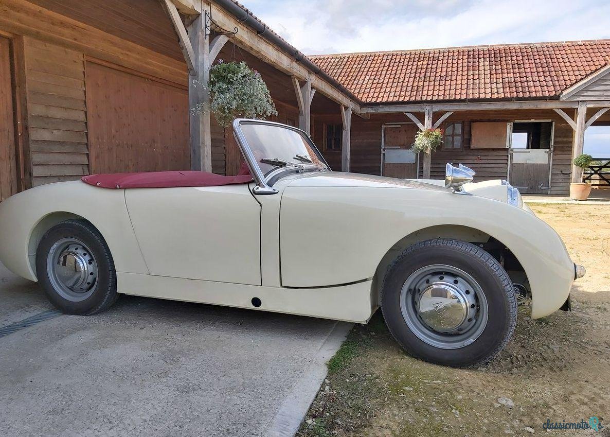 1960' Austin-Healey Sprite photo #3