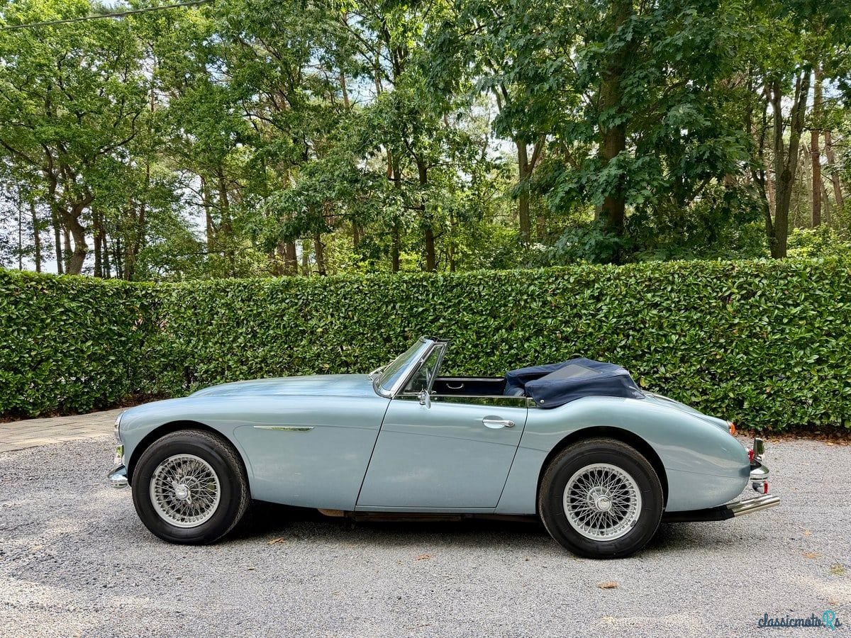 1966' Austin-Healey 3000 photo #2