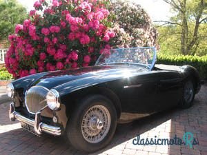 1954' Austin-Healey 100-4 photo #1