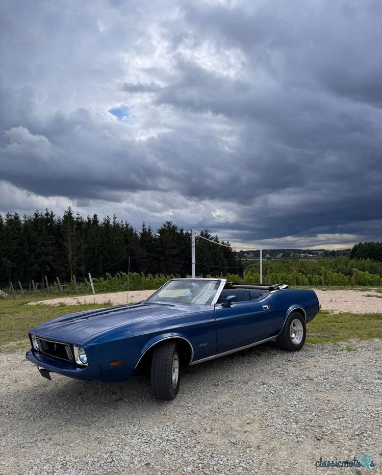 1973' Ford Mustang photo #3