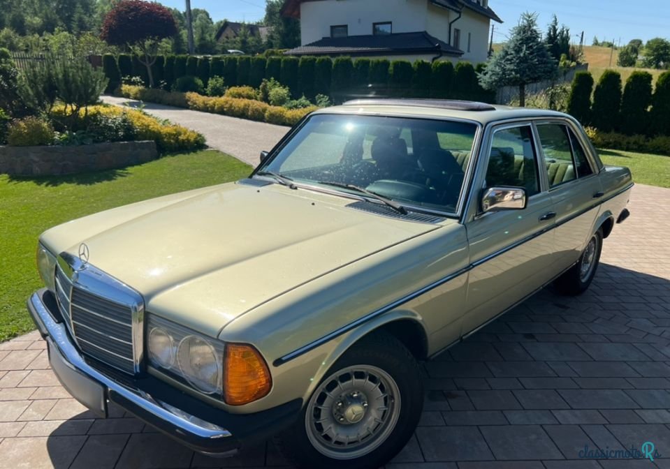 1979' Mercedes-Benz W123 photo #1