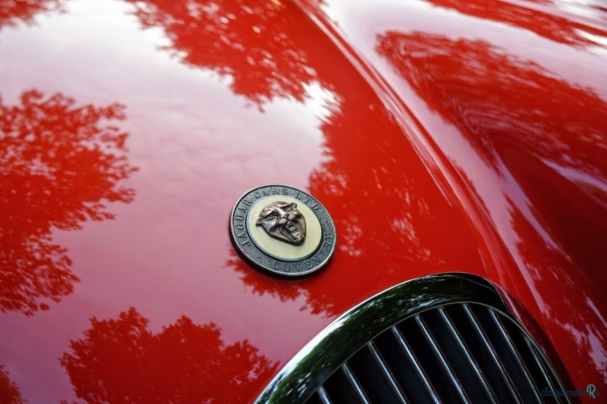 1951' Jaguar Xk120 photo #2