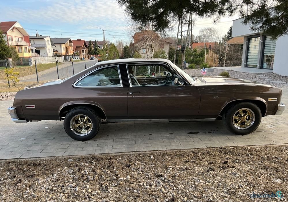 1979' Chevrolet Nova photo #2