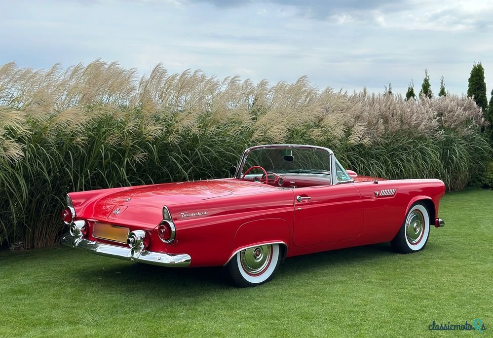 1955' Ford Thunderbird photo #2