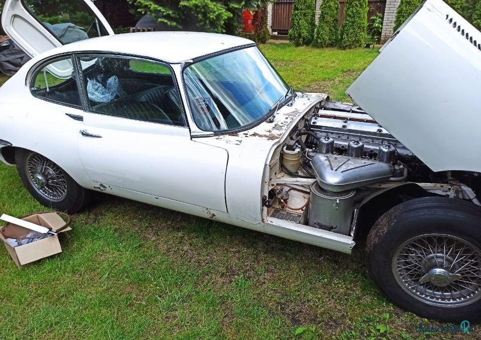 1967' Jaguar E-Type photo #4