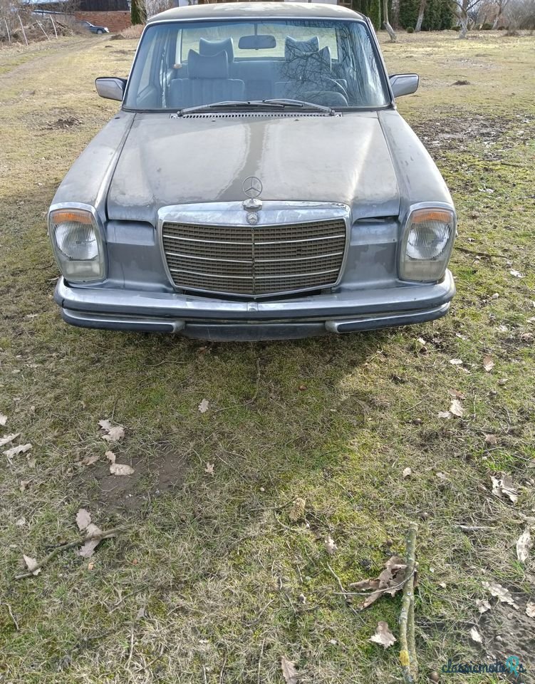 1975' Mercedes-Benz W115 photo #6